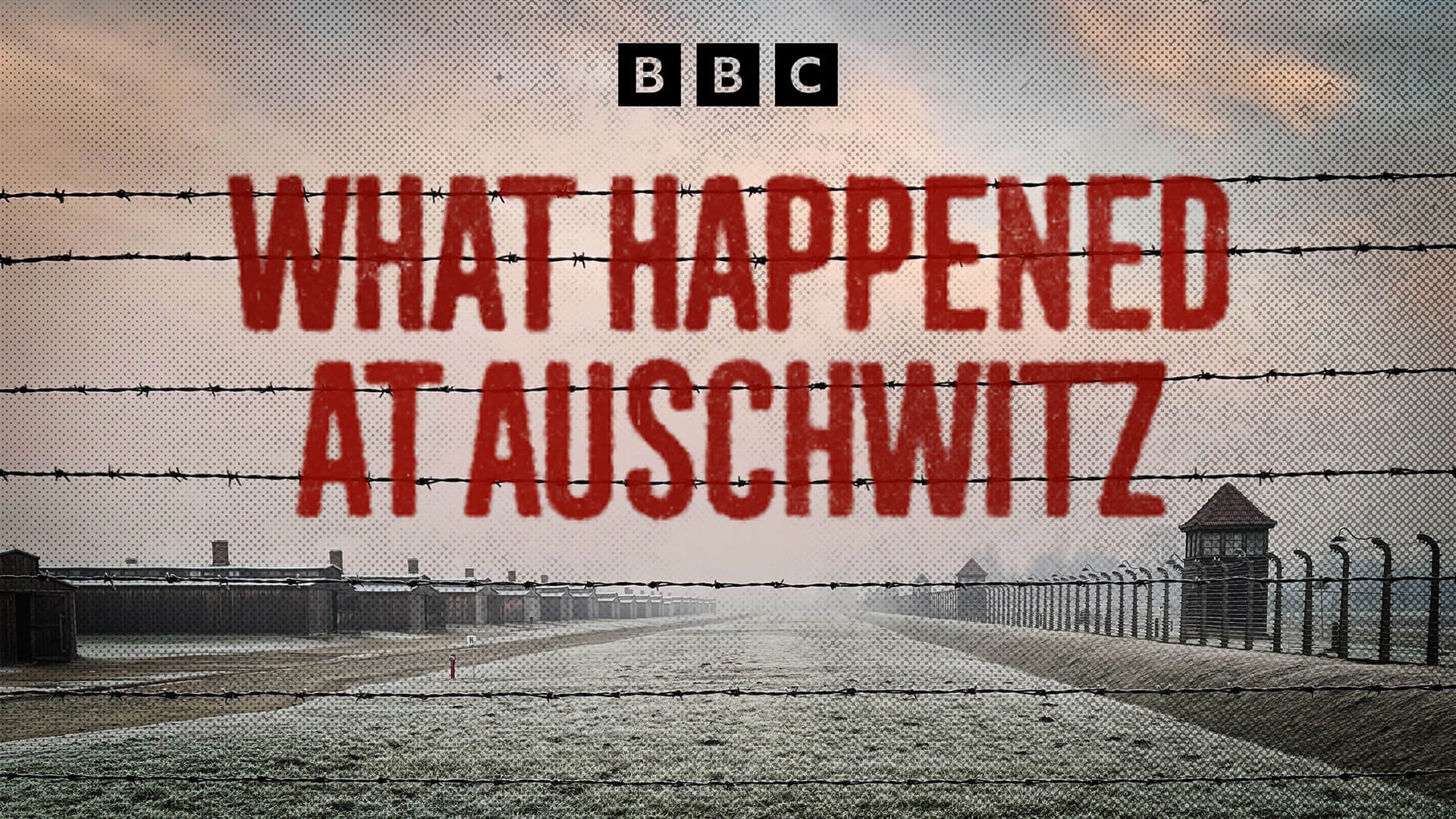 What Happened at Auschwitz