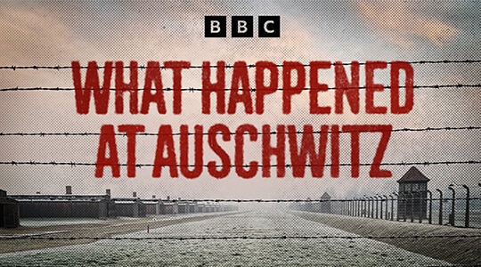 What Happened at Auschwitz