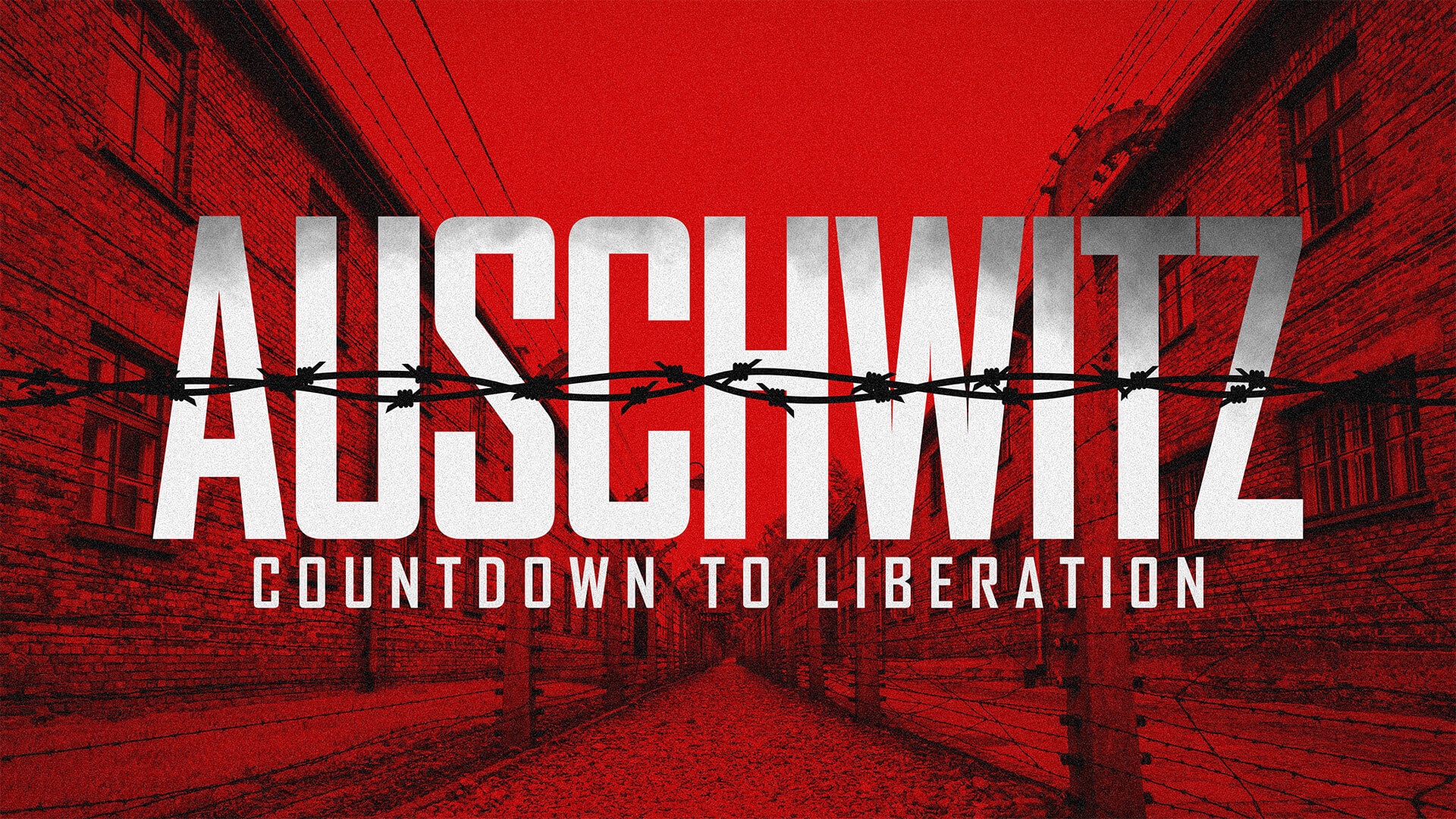 Auschwitz: Countdown to Liberation