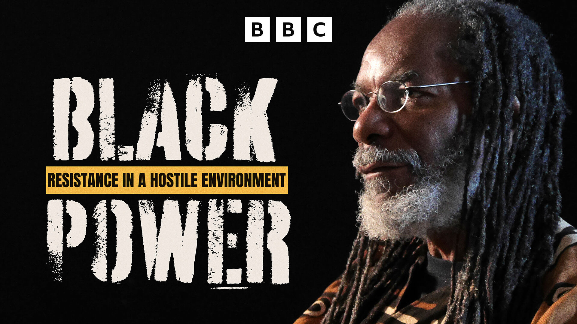 Resistance in a Hostile Environment: Black Power